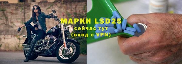 стафф Михайловск
