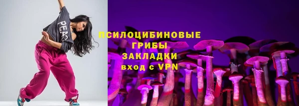 стаф Магадан
