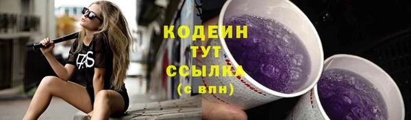 стафф Михайловск