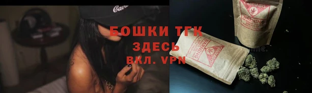 спайс Мегион