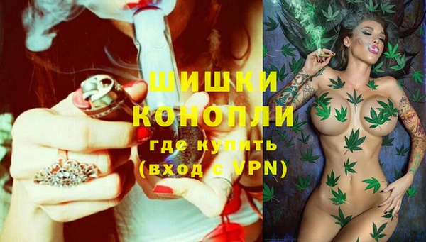 молекула духа Михайлов