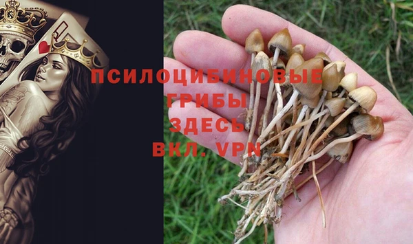 кокс Медногорск