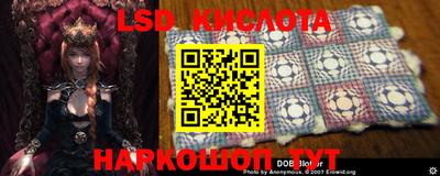 эйфоретик Бийск