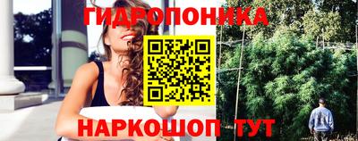 эйфоретик Бийск