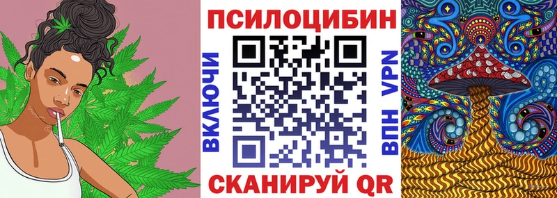 нарко площадка наркотические препараты  закладки  Мичуринск  Галлюциногенные грибы ЛСД  OMG онион 