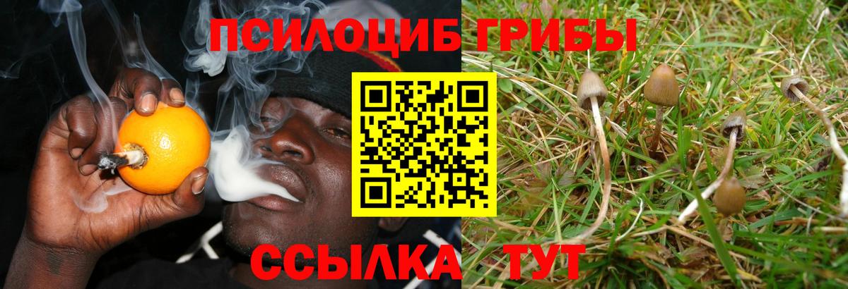 Галлюциногенные грибы Magic Shrooms  Вход с VPN  Галлюциногенные грибы прущие грибы  Мичуринск 